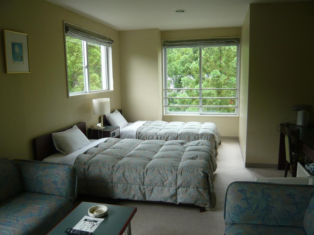 Hotel De L'Aile Hakuba Pokoj fotografie