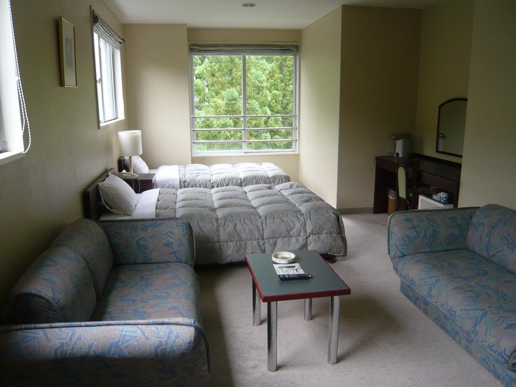 Hotel De L'Aile Hakuba Pokoj fotografie